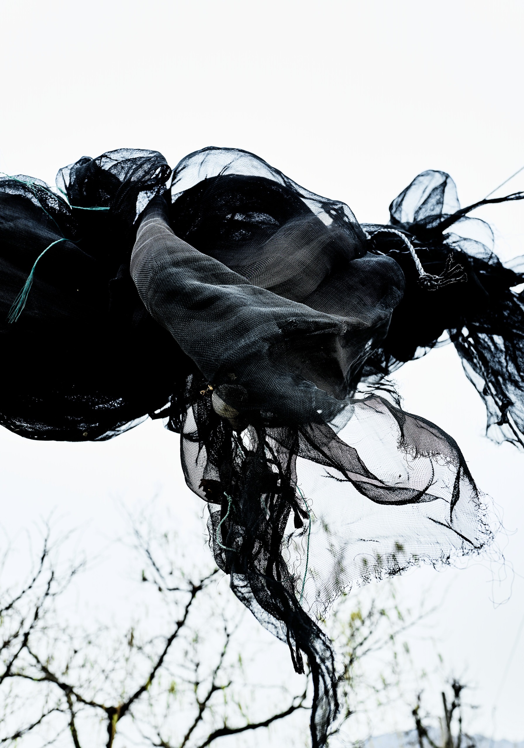 Signal From Noise PHIL ST