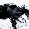 signal from noise - phil st george music